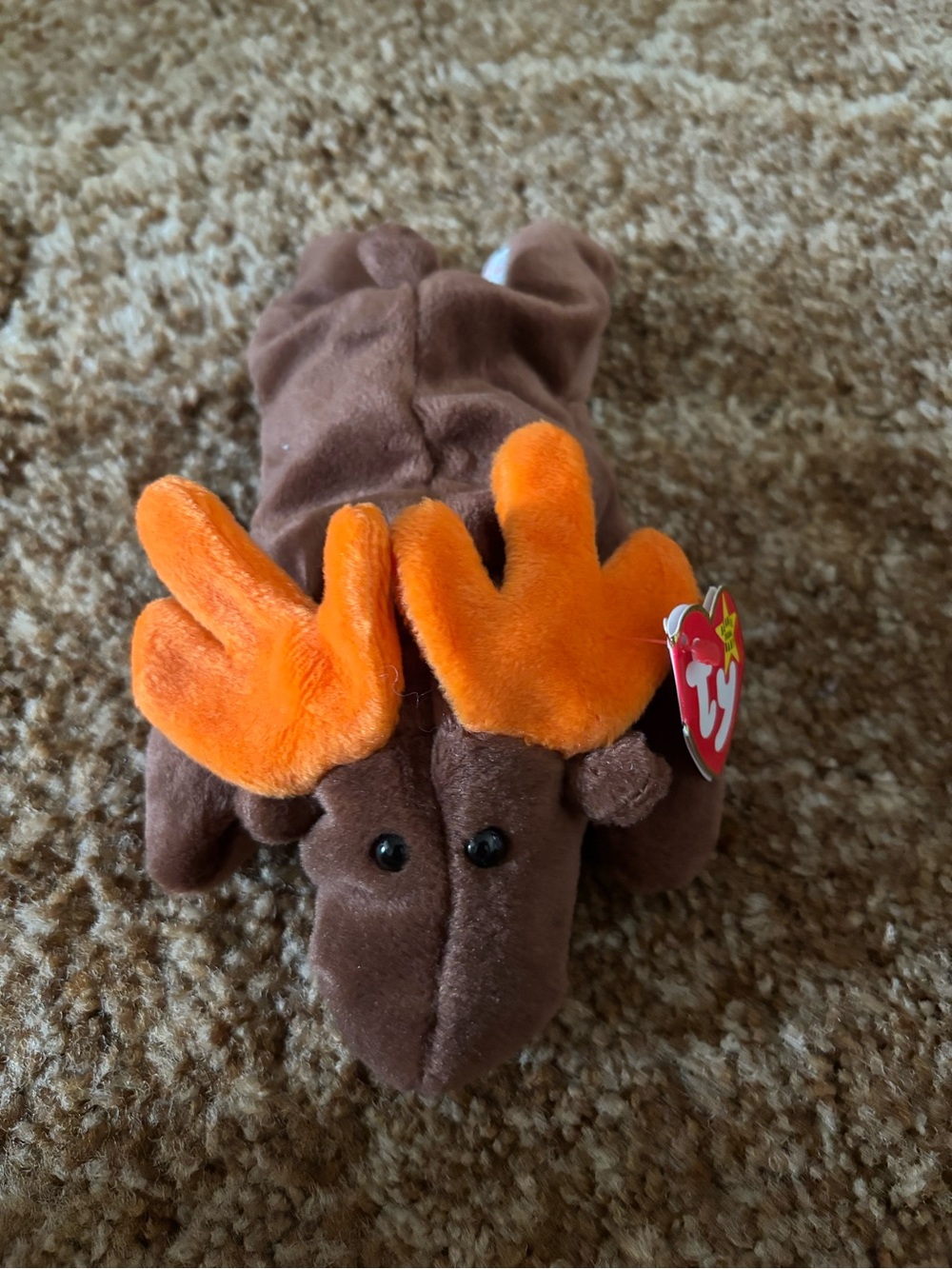 Ty Beanie Baby Chocolate the Moose